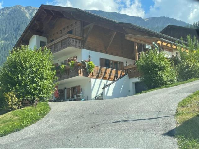 Appartment Ganahl ガシュルン エクステリア 写真